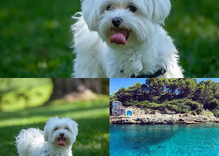 Le Cale D'otranto 3* Otrante